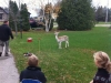 sami and jake with a deer nov 2012 006